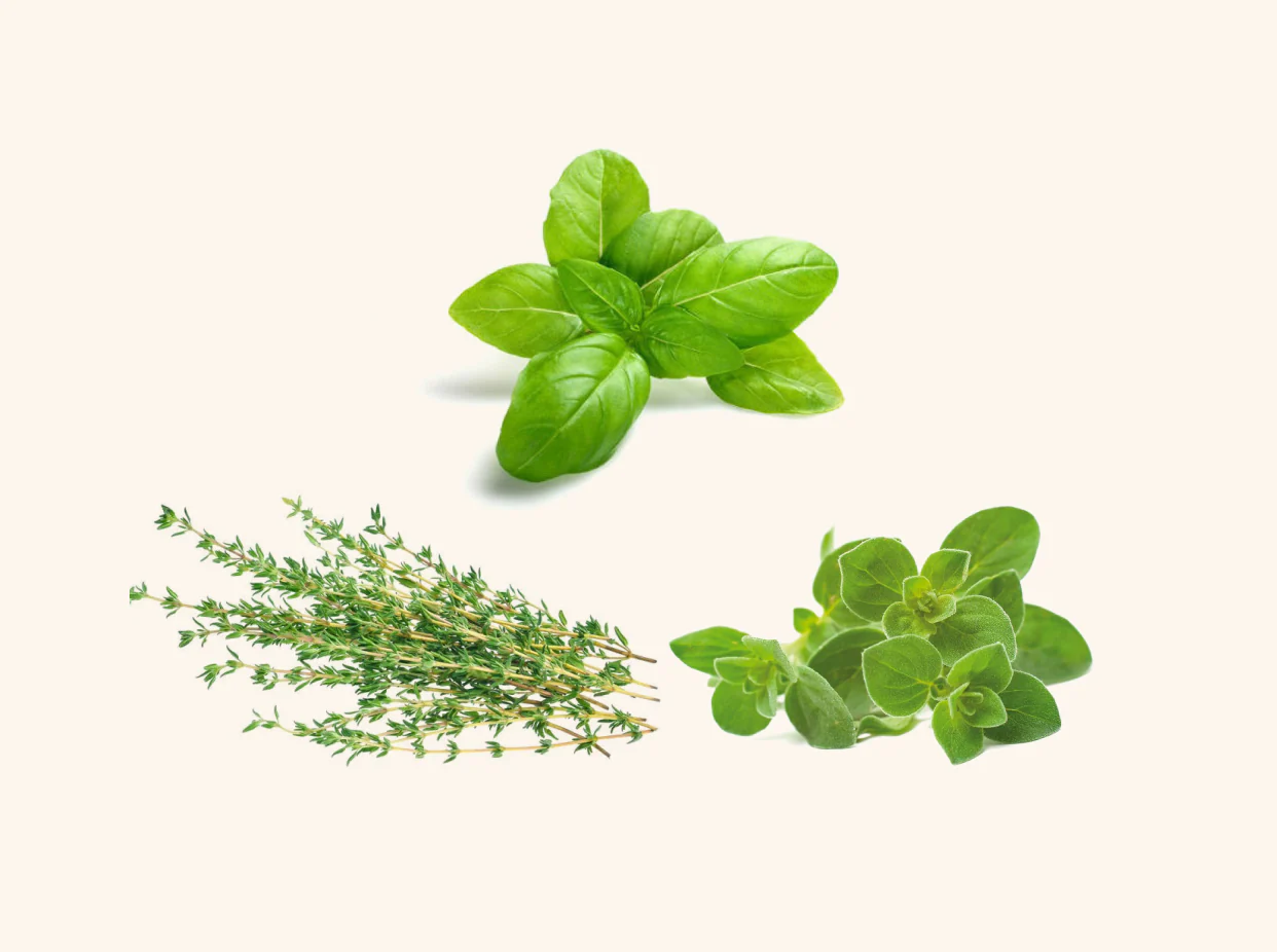 Seeds
